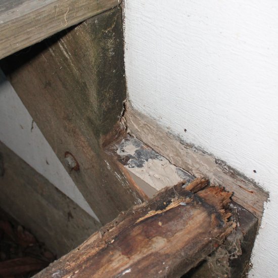 Rotten Stairs